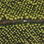 eco-driving techniques