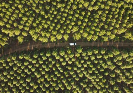 eco-driving techniques