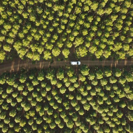 eco-driving techniques