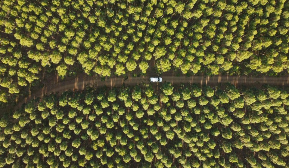 eco-driving techniques