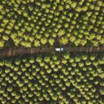 eco-driving techniques
